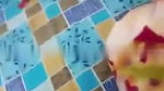 Desi Slim Wife Boobs Pressing And Hard Fucking