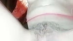 1000606696
