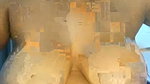 Angel kavya  Stripchat full nude show