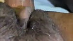 fucked after bj