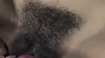 hairy pussy gf fucked