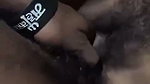 hairy pussy gf fucked