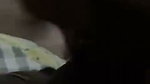 hairy pussy gf fucked