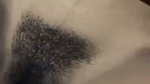 hairy pussy gf fucked