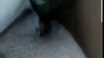 lovers nude vc