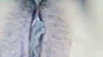 nude video of gf