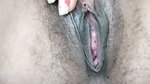 N0ANaughty Kiara  Stripchat pussy show