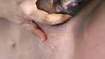 S Shalini gi Stripchat full nude show