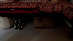 Young Desi Couple XXX Sex