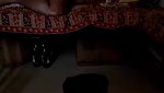 Young Desi Couple XXX Sex