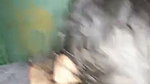 Hottest bhabhi sex after giving blowjob to devar