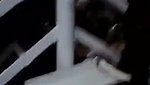 Indian Shop Maid Aunty Pussy Licked Fucking