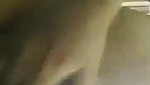 Sexy Bengali Babe Deep Kissing Nude With Friend