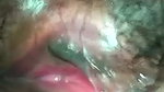 Sexy bhabhi showing her wet pink pussy