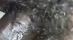 Hairly pussy fuck by lover