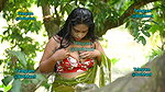 Sreetama in Jungle
