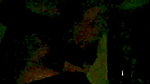 Tango Anu Live Show