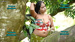 Sreetama Showing Deep Cleavage & Navel in Jungle Saree Shoot ~ Naari Magazine Shoot