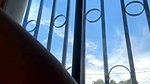 Try Sophia 16 Stripchat 9