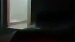 VID 20260712 WA0075