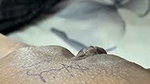 Devar drilling her bhabhi pussy hard  moan