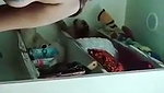 Swathi Nadu give Blowjob  fuck