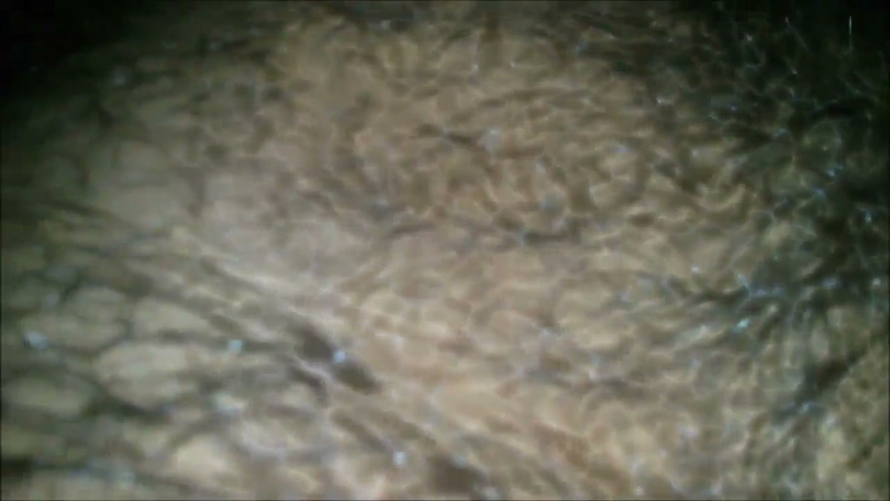 Frame 6