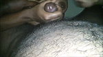 Tamil aunty give Handjob to husband dick
