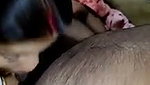 Wife giving Blowjob to husband  enjoying