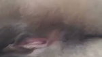 Hairy pussy of Indian college girl mms