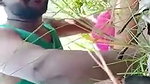 Trapping desi village girl and fucking her outdoor
