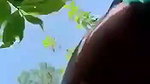 Trapping desi village girl and fucking her outdoor