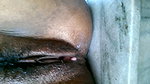 Devar loss dick try to fuck bhabhi hard