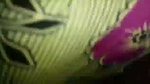 Girl show her huge boobs  bf jerking his dick