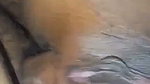 Hot girl fucking hard with bf  moan
