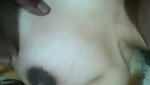Wife give Blowjob  boob press