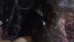 Punjabi girl riding  enjoying lover cock