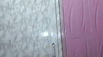 Indian chubby aunty bathing selfie mms