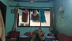 Indian maid house owner fucking