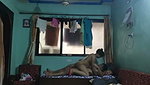 Indian maid house owner fucking