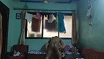 Indian maid house owner fucking