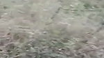 Local randi outdoor fucking mms