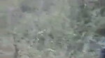 Local randi outdoor fucking mms