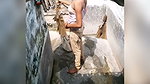 Village spy hidden cam clips mms