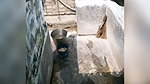 Village spy hidden cam clips mms