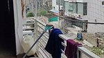 VID 20260713 202231 945