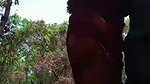 jungle mein chudai
