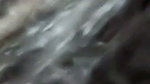 chubby dusky girl nude show  3