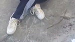 Girlfriend give Blowjob  fuck in Doggy style outdoor