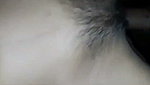 VID 20260713 WA0078